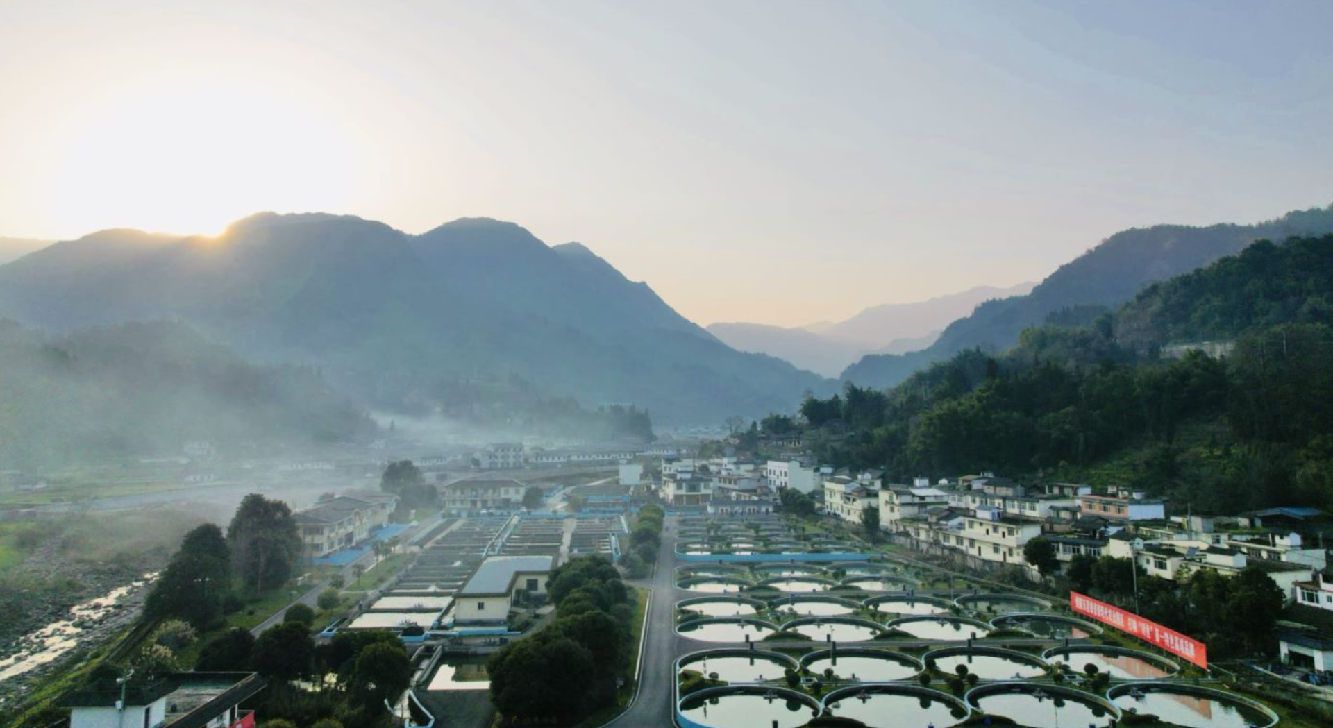 山汇特产